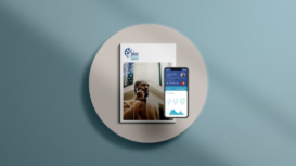 branding_sphere-capital_1